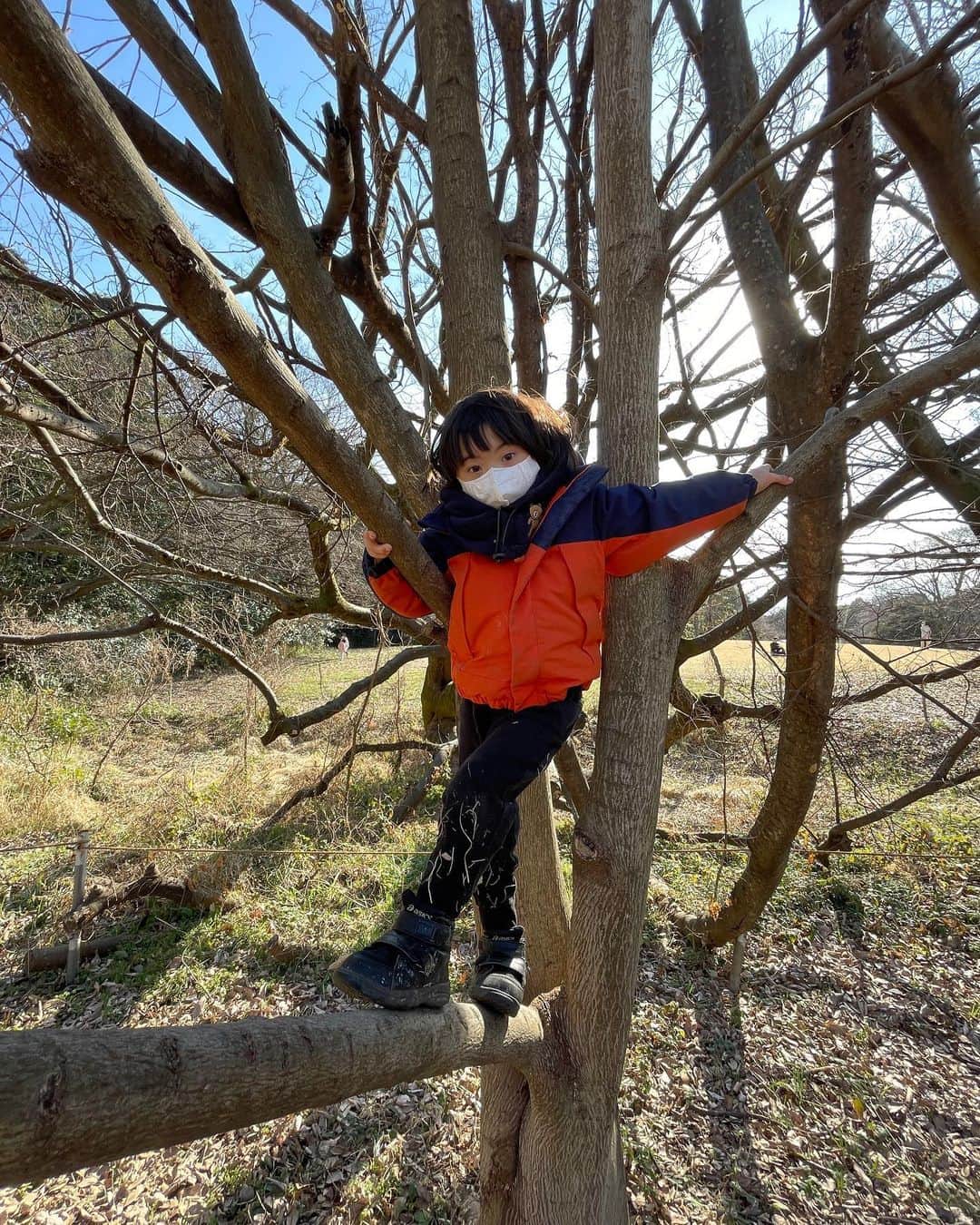 龍円愛梨のインスタグラム：「だんだん木登りが得意になってきたみたいですが、私はハラハラしっぱなし。  #木登り好き  #自然が好き  #ダウン症育児 #t21」