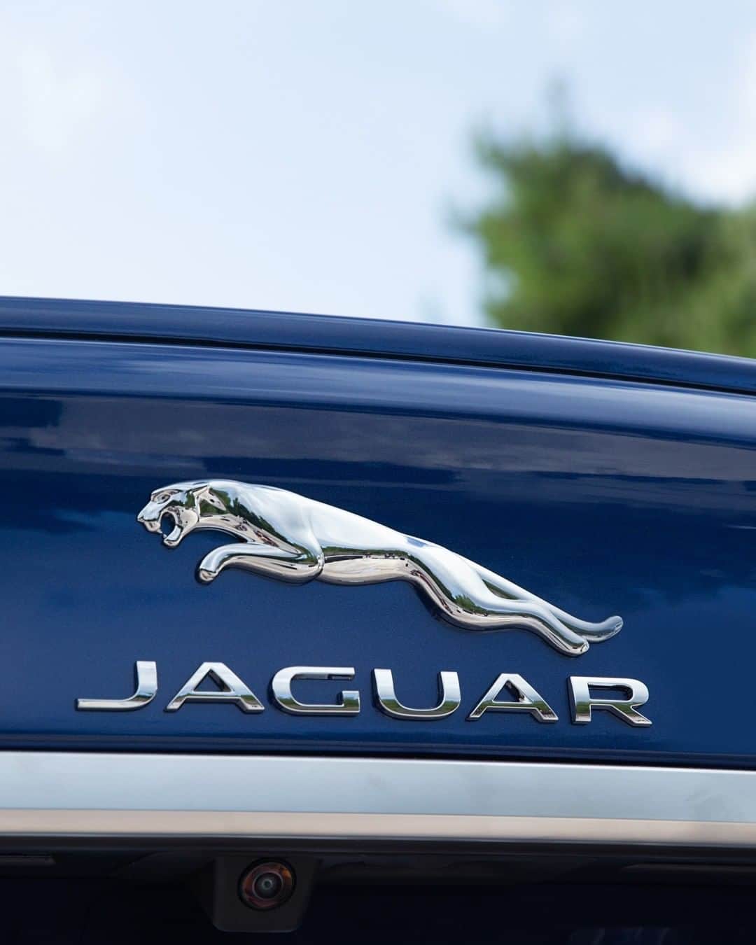 Jaguarさんのインスタグラム写真 - (JaguarInstagram)「A true #Jaguar down to the last detail.  #XF #Premium #Luxury #Performance #Sport #Saloon #MHEV #Hybrid #AWD #ElectricCars #InteriorDesign #Technology #CarsofInstagram #InstaCar」2月23日 19時30分 - jaguar