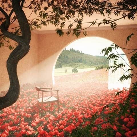 のインスタグラム：「🍯🌼🌻🌺」