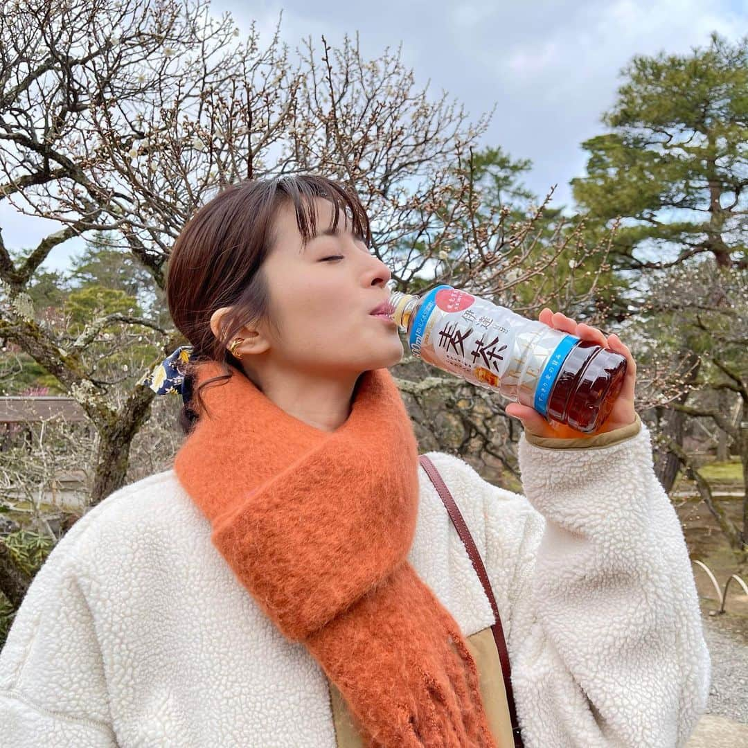 鈴木ちなみさんのインスタグラム写真 - (鈴木ちなみInstagram)「🌈NEWS✨ このたび「伊達おいしい麦茶」が 「伊達麦茶」と商品名を変え、 リニューアル発売しました🎊  容量も６００ｍｌに増量しています🥃 麦の自然な甘みが感じられます☺️  みなさんもぜひ飲んでみてください💞  #ポッカサッポロ #TOCHIとCRAFT #伊達麦茶」2月23日 20時08分 - chinami_suzuki0926