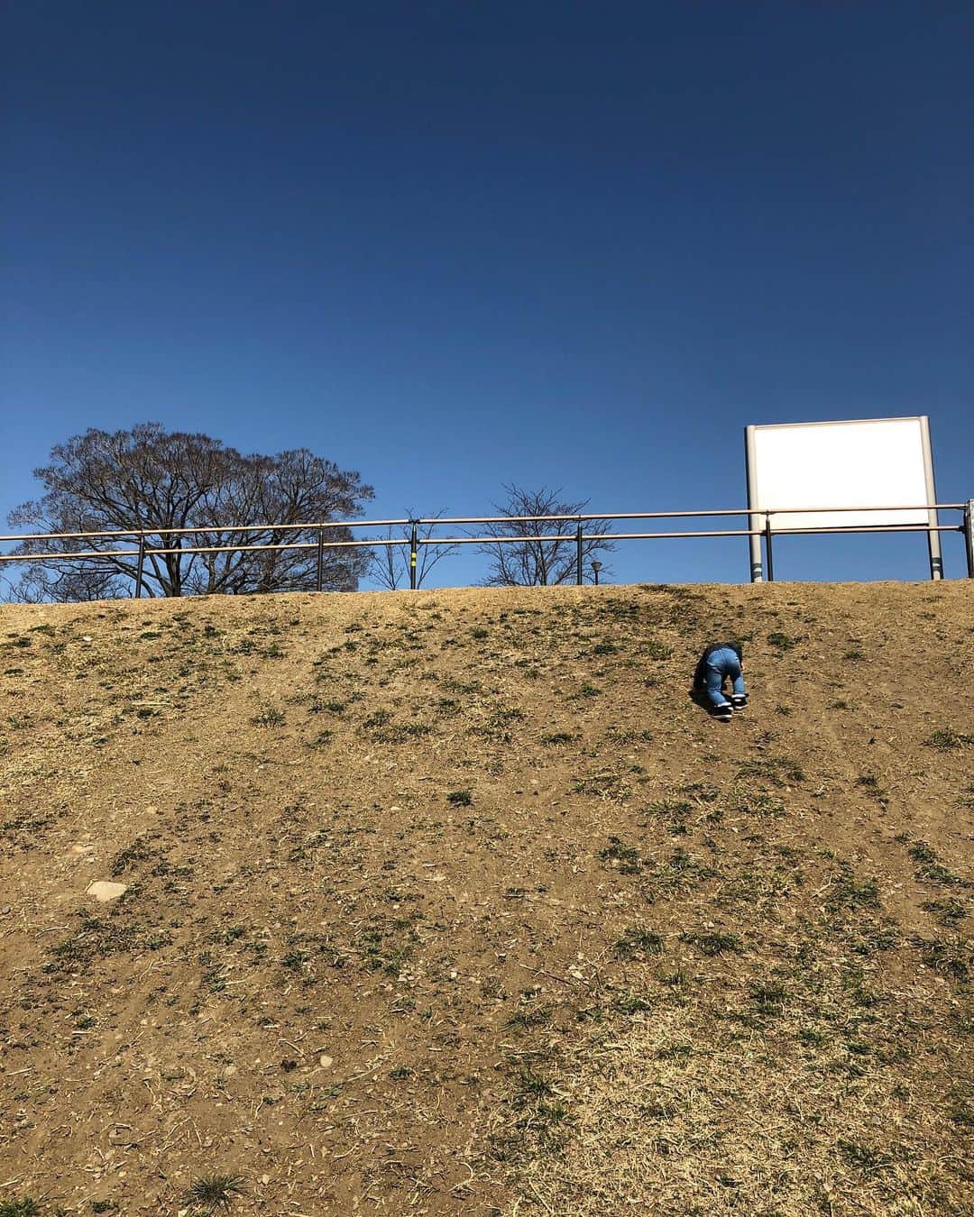 のインスタグラム：「グイグイ登っていく。 恐怖心の無さが怖いところではあるけど、好奇心でいっぱいなところはなるべく見守っていたい。 けど、見てる方が怖いし、母は一緒に行くのも助けに行くのも怖い。 #好奇心旺盛#2歳9ヶ月」