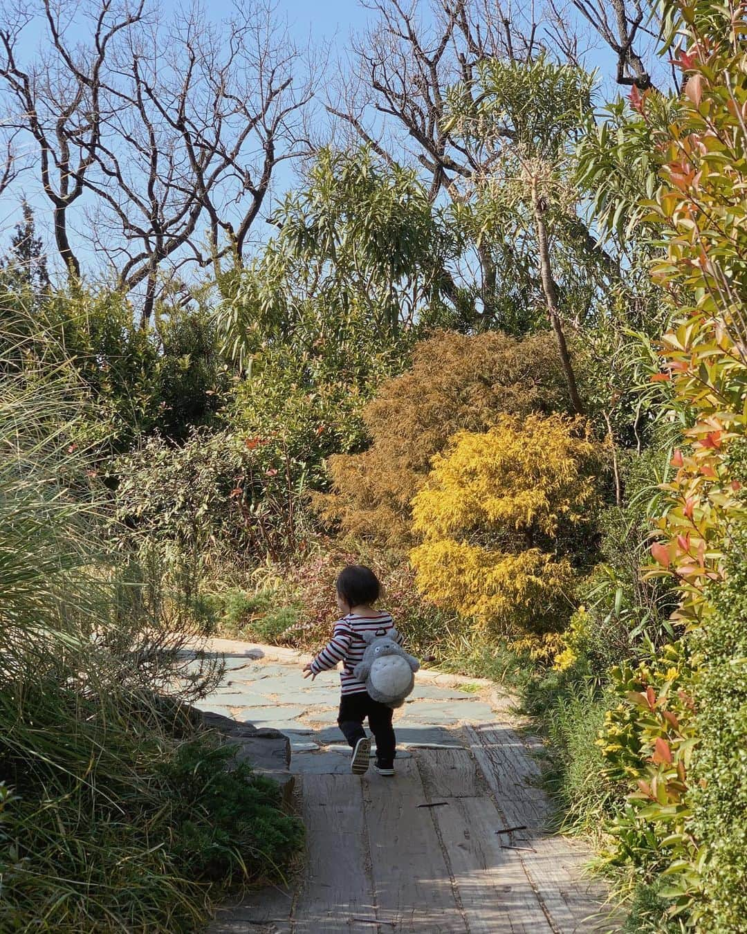 Remiさんのインスタグラム写真 - (RemiInstagram)「👶🏻's birthday trip👒  今日も良い天気でフル稼働☀️ 朝から窓全開で大掃除→誕生日会→雛人形飾り付け🎎  今週2歳を迎える👶🏻のお祝いtripは、大好きなあの子に会いに…💓  そして、、覚悟はしていたけど、今年の花粉も強烈ですね🤧🌳 花粉症の皆さん、共に乗り越えましょう！😷  #春はもうすぐ #花粉との戦い  #子連れおでかけ #2歳 #3歳」2月23日 20時19分 - remi_912