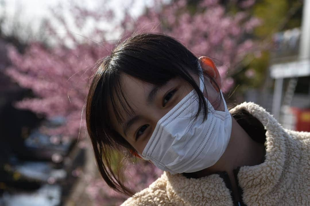 丸本凛さんのインスタグラム写真 - (丸本凛Instagram)「お散歩🐾 #photooftheday#instagood#一眼レフ#nikon#d3500#河津桜#リフレクション#反射#ひよどり#コントラスト#菜の花#月#川面#川面に映る」2月23日 20時16分 - rinmarumoto