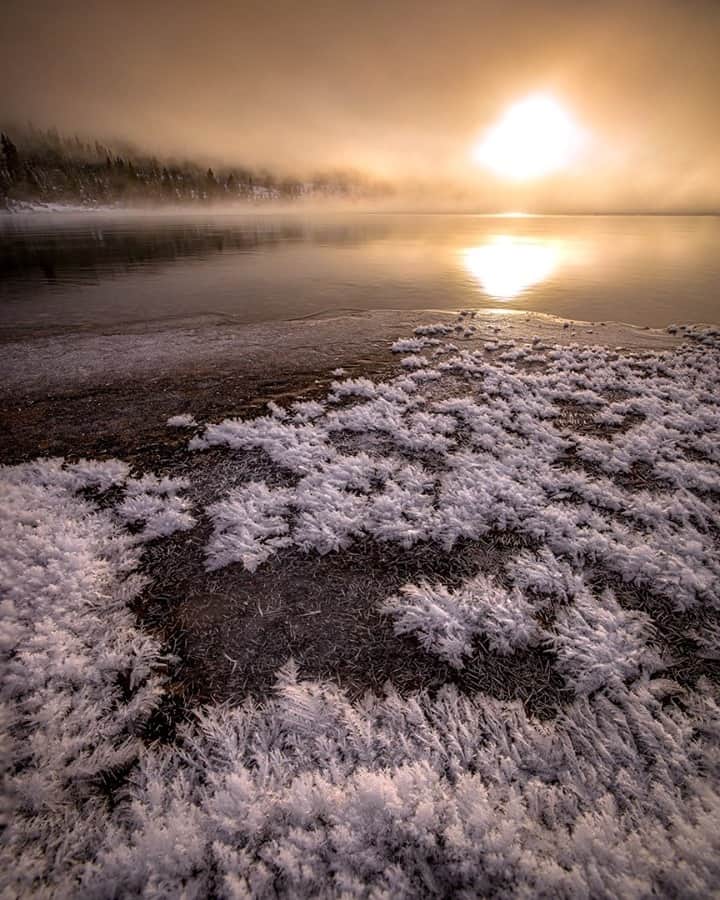 のインスタグラム：「Photo by @kahliaprilphoto / Beautiful frost feathers grow along the lakeshore as a freezing fog rolls over the water. I captured this incredible sunrise scene on an icy morning in the Canadian Rockies.」