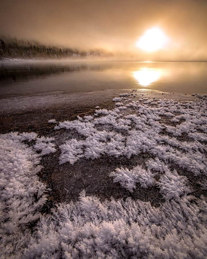 National Geographic Travelさんのインスタグラム写真 - (National Geographic TravelInstagram)「Photo by @kahliaprilphoto / Beautiful frost feathers grow along the lakeshore as a freezing fog rolls over the water. I captured this incredible sunrise scene on an icy morning in the Canadian Rockies.」2月23日 20時38分 - natgeotravel