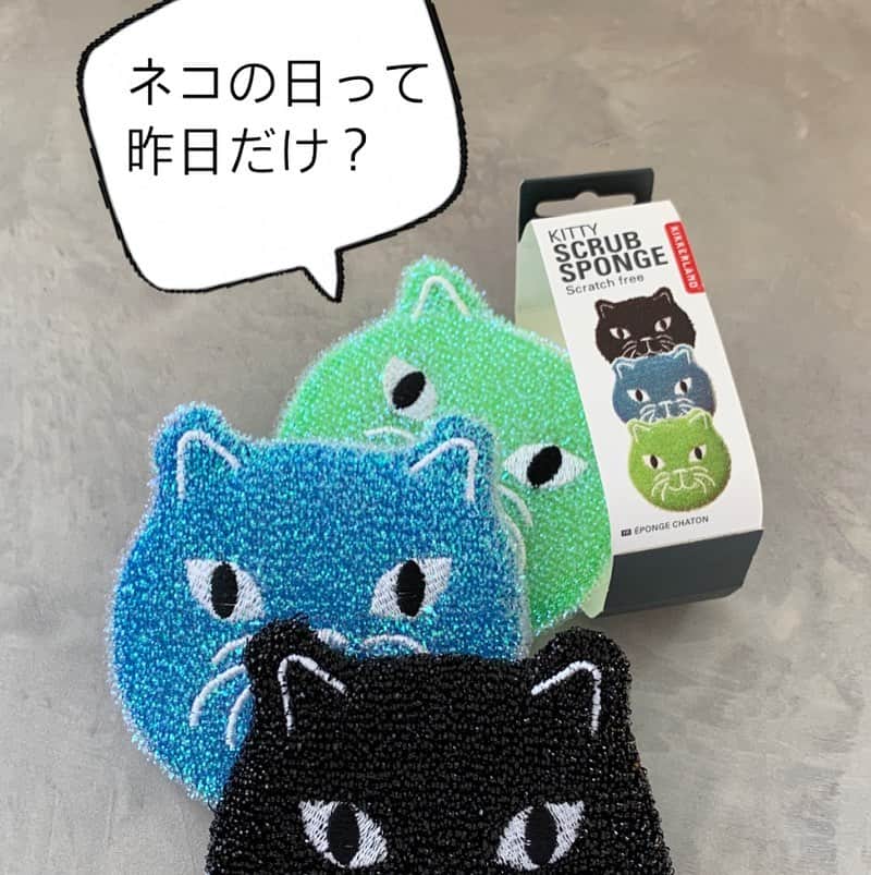 nocotoのインスタグラム