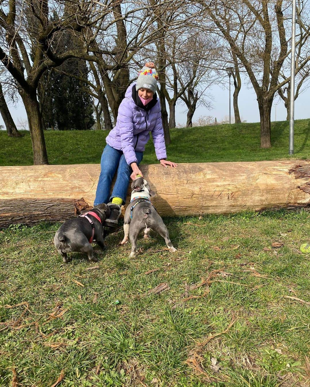 フェデリカ・ペレグリニさんのインスタグラム写真 - (フェデリカ・ペレグリニInstagram)「Fratellanza e bulli 💁🏼‍♀️🙋🏼🐶🐶🎾 ..... ma anche i vostri bulli amano l’imbottitura delle scarpe?!😩」2月23日 20時51分 - kikkafede88