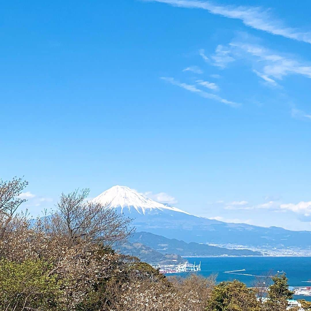 小椿希美のインスタグラム：「・ 2月23日は、富士山の日🌸 ・ ・ ・ 気象予報士試験を受け終わり 張っていた気持ちが 少し緩んで 勉強から離れていましたが 実技試験に向けて再始動📝 （少しどころか緩みきり、『愛の不時着』を一気見してしまいました） ・ ・ Instagramでも 合格するまでを マイペースに更新していこうと 思います😊 いろいろな資格に チャレンジしている方を インスタで覗いて 勝手に共感させていただき 私も受験勉強を続けています✨ ・ ・ ・ しばらく、富士山にも お目にかかっていませんが🥲 私が撮影した富士山の一枚です📷 富士山が大好き過ぎて 見えた日は、 とても幸せな気持ちになります🌸 ・ ・ ・ #富士山の日#富士山#気象予報士 #気象予報士試験#気象予報士試験勉強中 #勉強垢初心者 #愛の不時着#韓国ドラマ#愛の不時着にどハマり中 #韓国料理にどハマり中#韓国料理#韓国美容食#韓国美容 #日本平#日本平夢テラス」