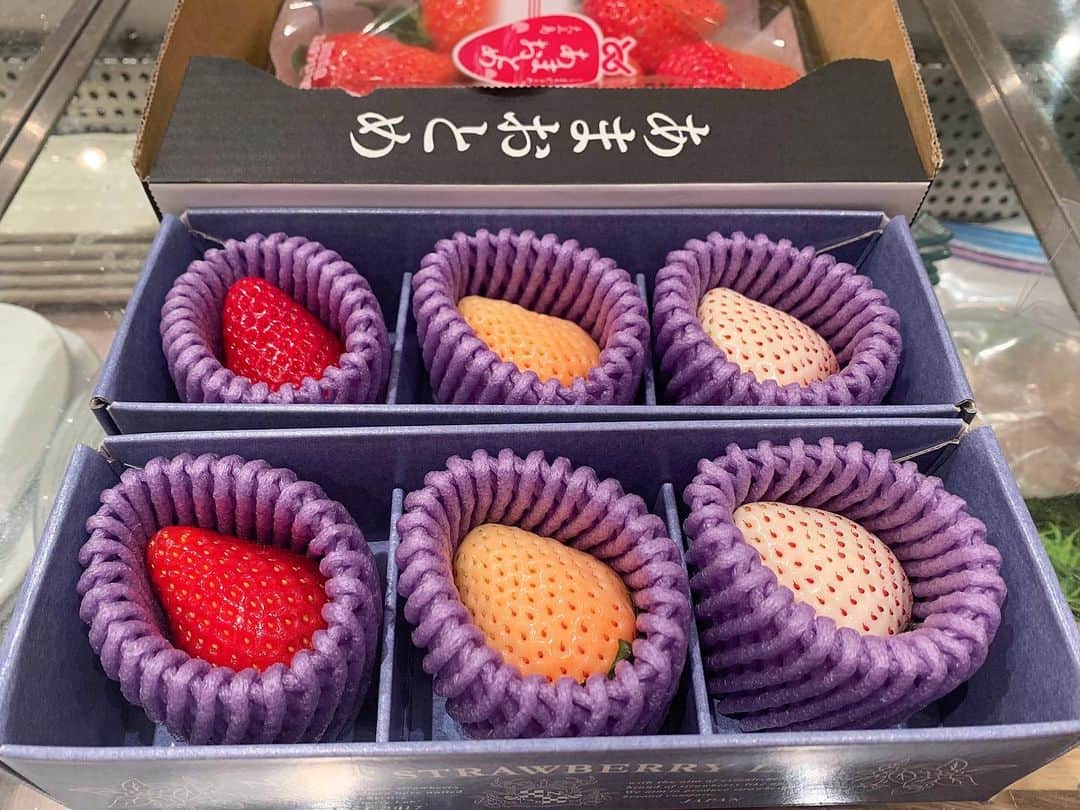 井上茉倫（月神まりな）さんのインスタグラム写真 - (井上茉倫（月神まりな）Instagram)「「心ふるえる食体験を一緒に」 FOOD GROOVE JAPANに私も加わる事になりました🙇🏻‍♀️ 早速 苺の撮影があると聞いてお手伝いへ行くと サプライズでアンバサダーを頂いちゃいました😮💚🧚🏻  変態的ともいえる こだわりを持った生産者の気持ちを 遊びを通して 学ぶ 体験する 味わう つながるを広めて 日本の食をより深く みんなが応援する環境創りの お役に立ちたいと思ってます✨  美味しいものを未来へ繋ぐために🌈  鈴木代表と一緒に今回は いちごの作り手 小野さん／フルーツ屋 東果堂 岩槻さん／仲卸 倉片さん  ありがとうございました👏🏻  大人のフルーツサンド🥂🍓」2月23日 21時02分 - inoue_marin