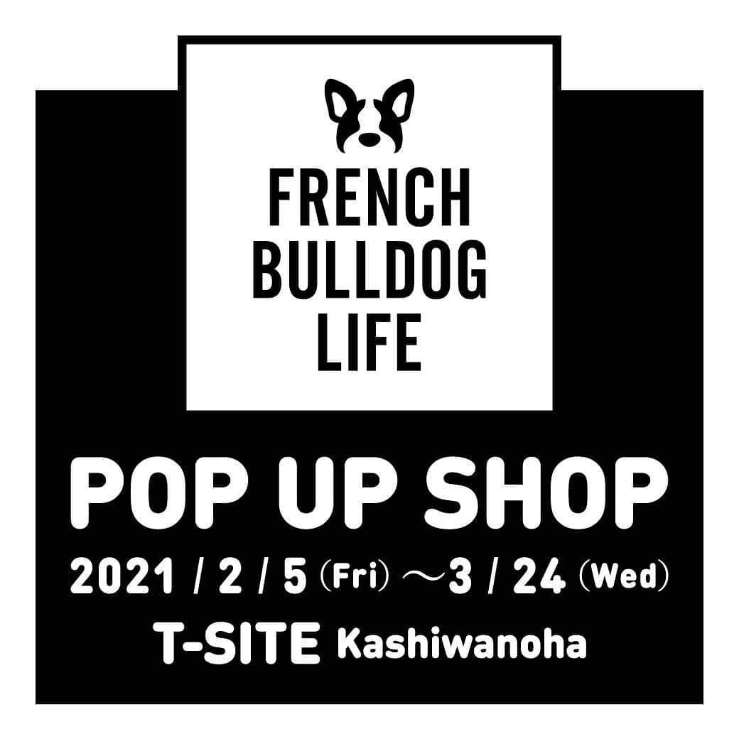 French Bulldog Lifeのグルメインスタ