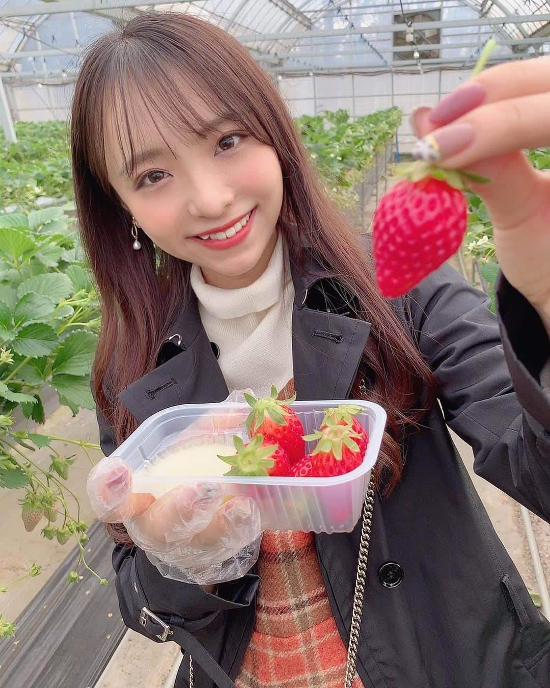 勝又彩央里さんのインスタグラム写真 - (勝又彩央里Instagram)「いちご狩り🍓  静岡は美味しいいちごがたくさんあるんですよ😋 今回は“章姫”をたくさん食べました！ 自分で摘んで食べるいちごは新鮮で最高✨  #いちご狩り #いちご #章姫 #美味しい #セントフォース #セントフォースsprout #大学生 #女子大生 #instagood #strawberry」2月23日 21時09分 - saorinoel