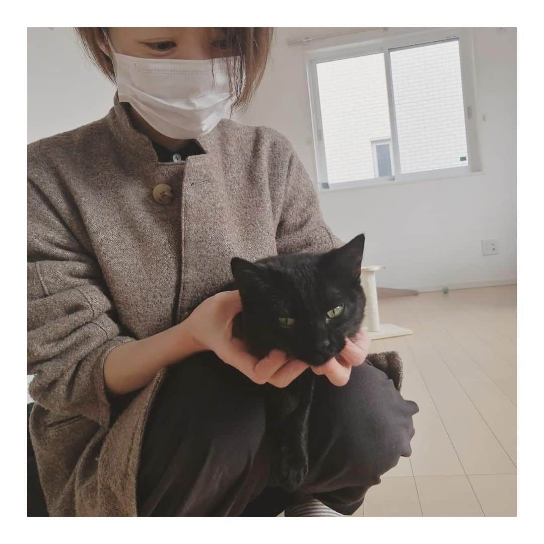 こむぎさんのインスタグラム写真 - (こむぎInstagram)「* この子はごまちゃんじゃないよ〜🐈‍⬛ 預かりさんのお家にいたくまおくん、今日から里親さんの元でトライアルスタートしました🙏🏻✨  里親さん宅でお洒落なケージを用意してくださっていたのだけれど、くまおくんが安心出来る様に段ボールで囲ってもらっちゃいました〜🤣 最初はトイレに入って、そのあと隙間に挟まってみたり、ケージの上の方に行ってみたり固まることなく色々興味がある感じ☺️ 到着そうそうちゅーるも手から食べて、夜はパウチ食べれました🤗 夜中の間にカリカリ食べれるかな？食いしん坊さんは安心だー🤣✨  「そこにいるだけで可愛い」って言ってもらえたよ。くまお良かったねぇ☺️✨ ゆっくりくまおのペースで頑張って〜💪✨  そしてそして！ くまおくんお届け後に、同じ崩壊現場出身のすりみちゃん( @surimi_0806 )のお家にもチラリとお邪魔してきました〜✨  4枚目は同じ黒猫だけど、くまおじゃなくて、すりみちゃんの同居猫もずくちゃん☺️ もずくちゃんは人見知り全く無しでこちらがえ！？初対面ですよね？となるくらい😂  7枚目からはすりみちゃん🐈 こちらは想像どおりちぐらの中で固まってました🤣 現場にいた頃はあんなに甘えてくれてたのにな〜🤣 里親さんには甘えて私を見て！！！ってアピールしているみたいなのでだいぶ慣れてくれて良かった🤗 幸せいっぱいだと預かりのことも忘れちゃうよね〜猫あるあるだね🤣 最後の写真は帰り際に冷蔵庫の隙間に入るすりちゃん😂 可愛すぎる…🥺  ーーーーーーーーーーーーーーーーーーーーーーー  里親募集掲載用アカウント→ @comugineko  3匹(かめ、さくら、しし)は関東地方 11匹は東海地方で里親様募集中です(遠方相談🆗) #岐阜多頭崩壊レスキュー #里親募集 #里親募集中 #保護猫 🐈‍⬛  岐阜多頭崩壊レスキュー応援LINEスタンプ出来ました♪ プロフィールのURLからお求めいただけます🤗 皆様ご協力ありがとうございます〜🙏🏻✨」2月23日 21時29分 - tomochunba