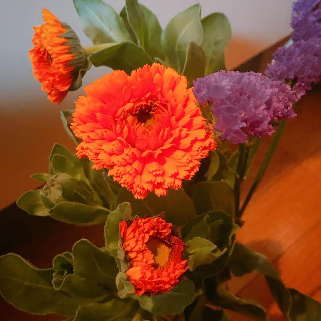 のインスタグラム：「#💐 #🧡#💜#💚  久々にお花を花瓶に生けてみたり。 #花#🌼」