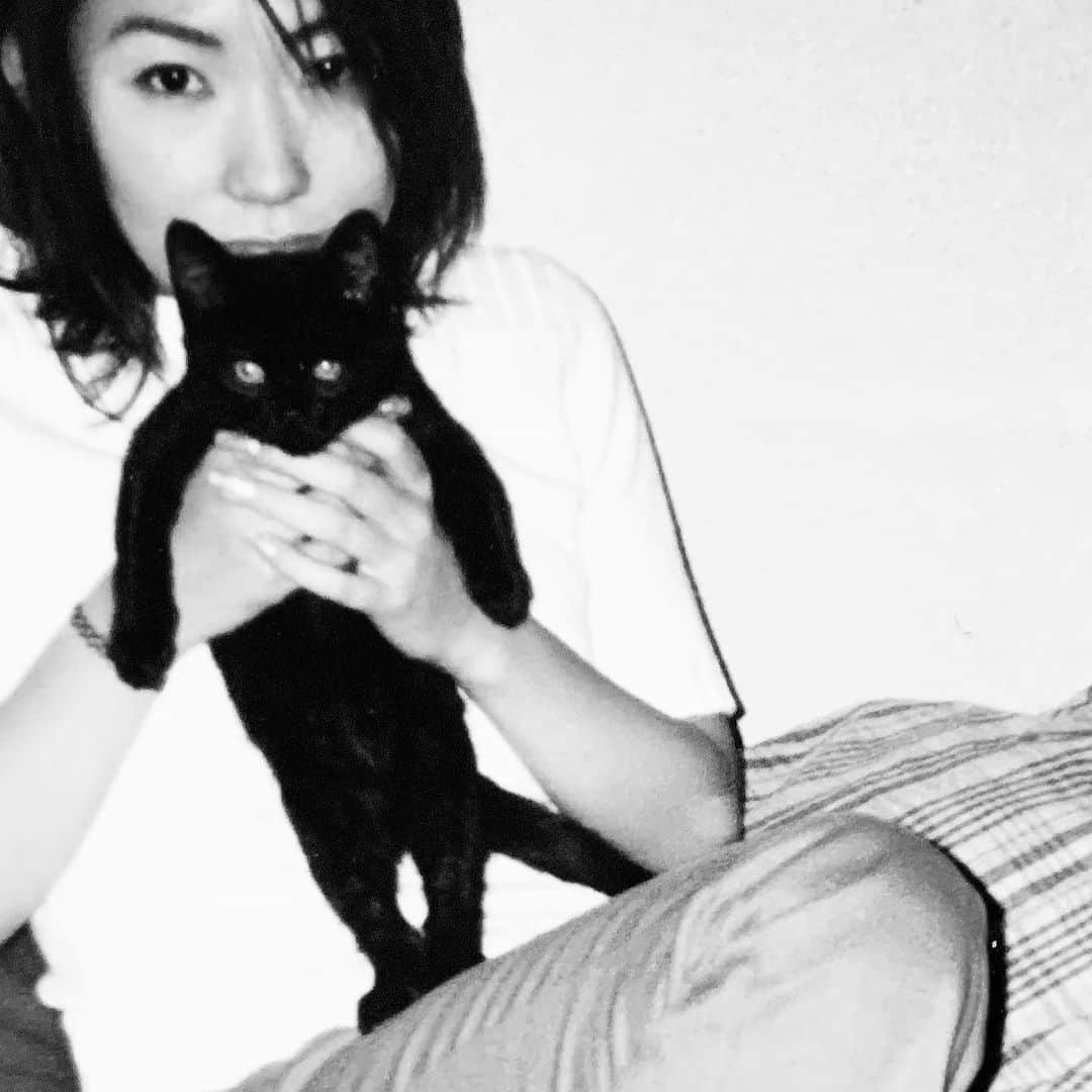 三浦加納子さんのインスタグラム写真 - (三浦加納子Instagram)「1年前、 21年間、私の側にいてくれた黒猫のモカが天国に旅立ちました。  悲しい事だしこうして記す気分にもなれなかったのですが、 1年経って喪失感から少し解放されたのと、モカを知ってくれていた方もいると思うので、これはご報告と独り言です。  多分、このコはこの世の誰よりも私の全てを見て知っていたんじゃないかな。 姉弟のような親子のような恋人のような、私たちの関係はお互いの年齢でも変化していったしその日の気分でも違っていました。  大きな病気をした事がなく、 悪さをされた記憶もほとんどなくて、ホントに手がかからなかった。 お互いにあまり干渉し合わないけど、何かあったら寄り添ってくれて、空気のように存在しているのが心地良かったです。 最高の相性だったんでしょうね。  今でも黒い服とかのかたまりが床に丸まって落ちていると、無意識にモカかなとか思ってしまうんですよねぇ…。  いつか、どこかで、どんな形でもいいからまた会えたらいいな🐈‍⬛  そしてまたいい出逢いがあれば、 あのふにゃふにゃのもふもふを独り占めしたいのです。」2月23日 21時32分 - kanakomiura