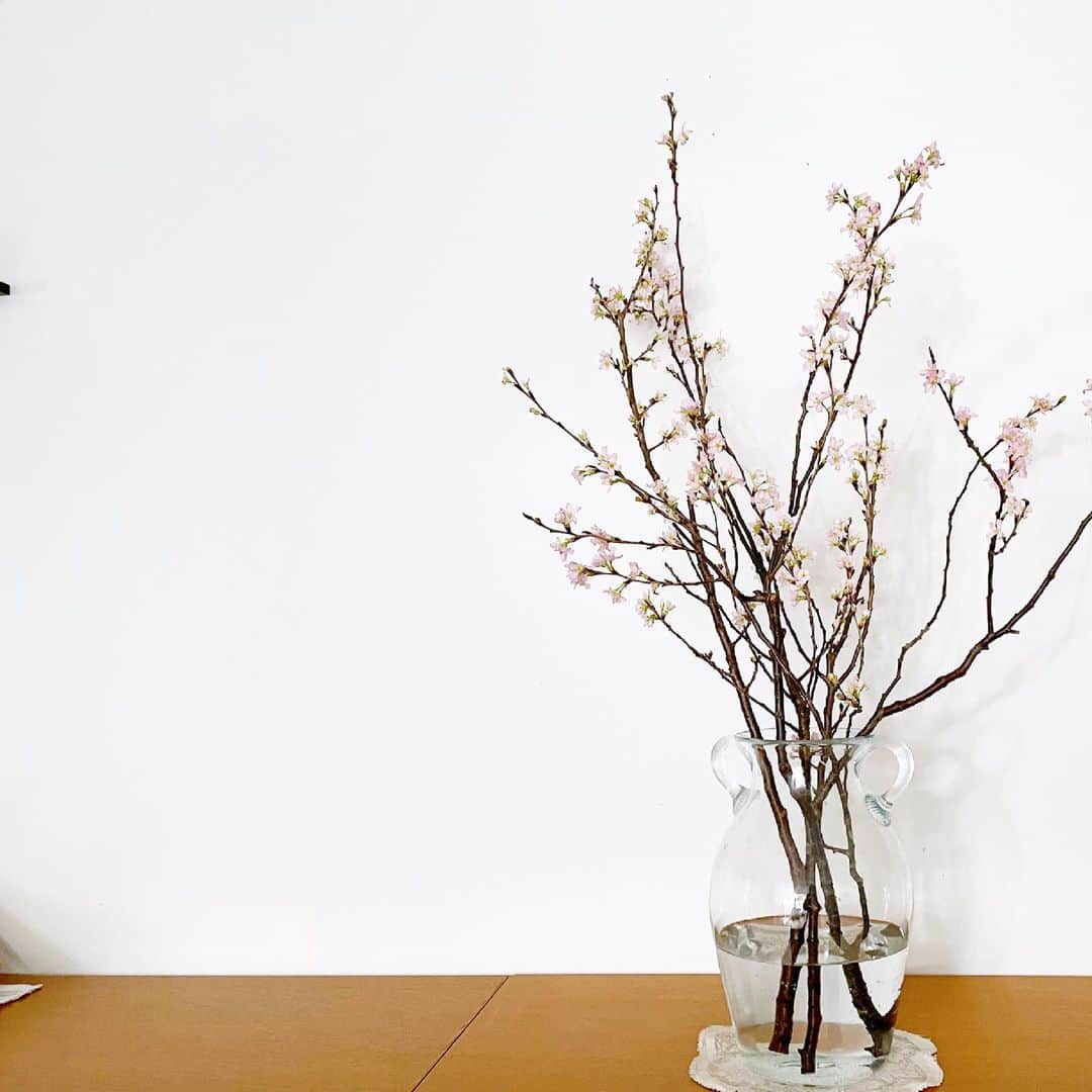 山本浩未さんのインスタグラム写真 - (山本浩未Instagram)「友より春をいただく🌸🌸  アリガト🌸 ウレシイ🌸 ハルガキタ🌸  #さくら　#桜　#sakura」2月23日 21時49分 - hiromicoy