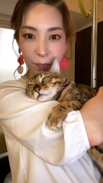 山名未紗のインスタグラム：「猫とわたし。」