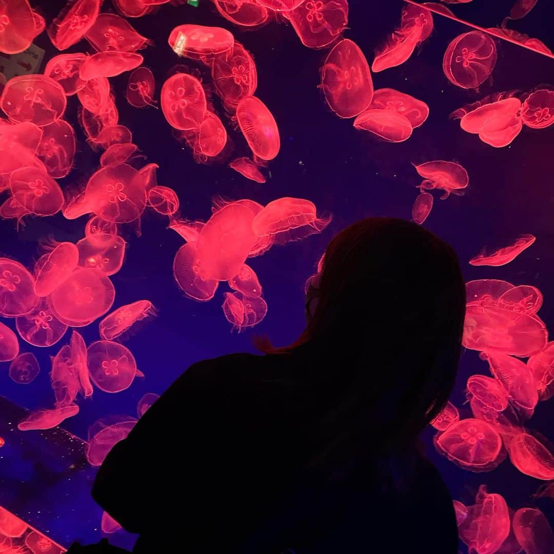 星野麻里愛のグルメインスタ