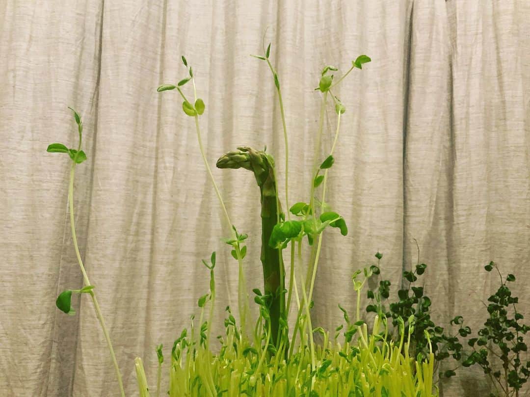 のインスタグラム：「未確認生物発見 #UMA」