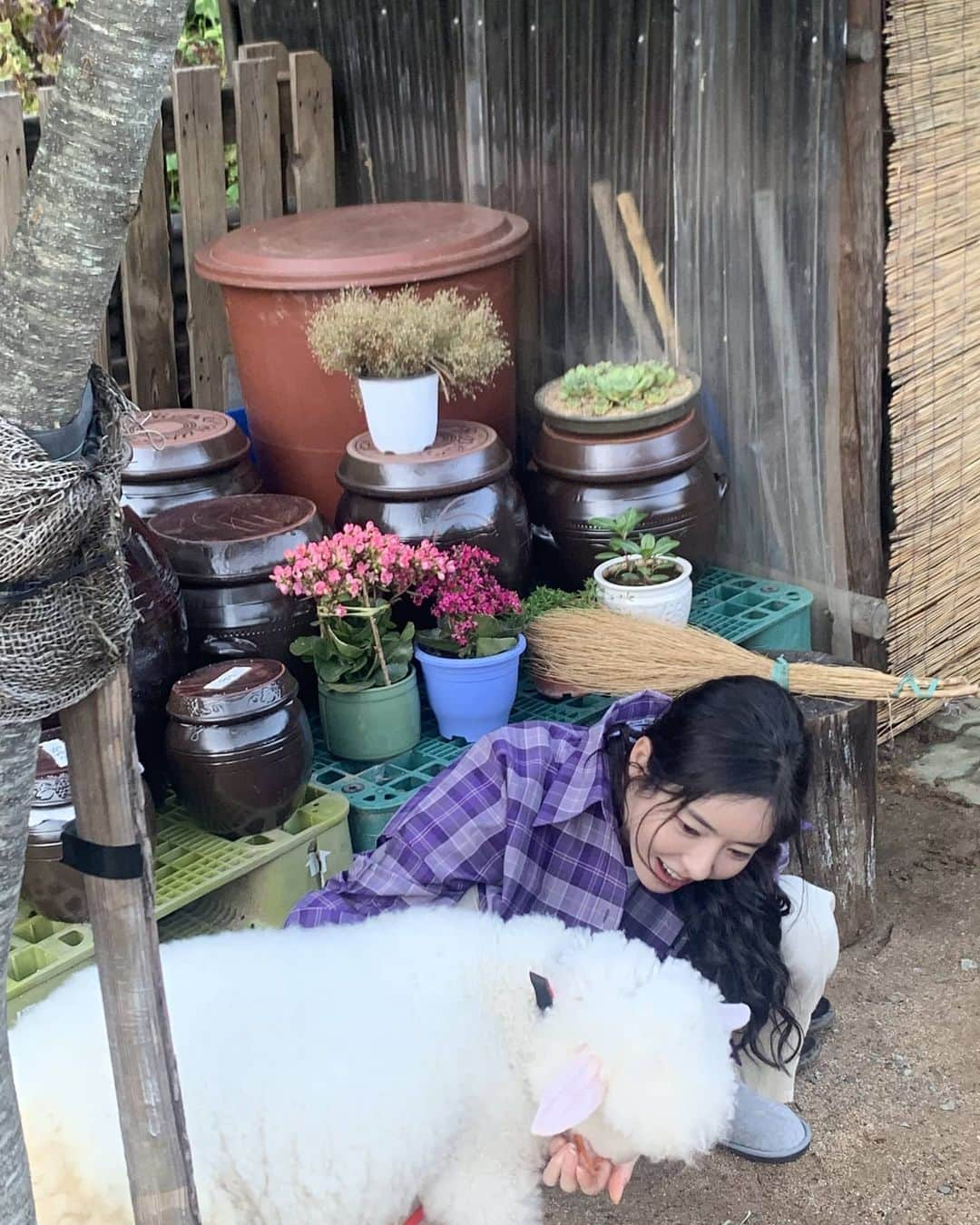 イ・ダヒさんのインスタグラム写真 - (イ・ダヒInstagram)「귀여운 양양이🐑」2月23日 22時20分 - dahee0315