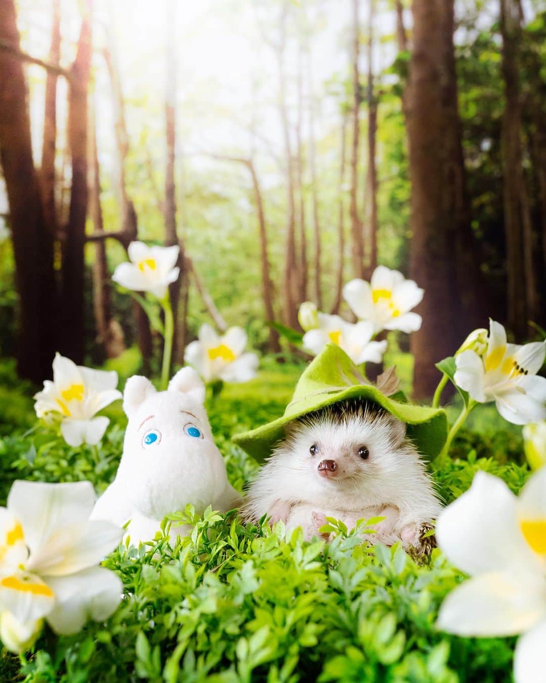 のインスタグラム：「“Today we must do something very special, for it will be a glorious day.” – Snufkin #moomin」