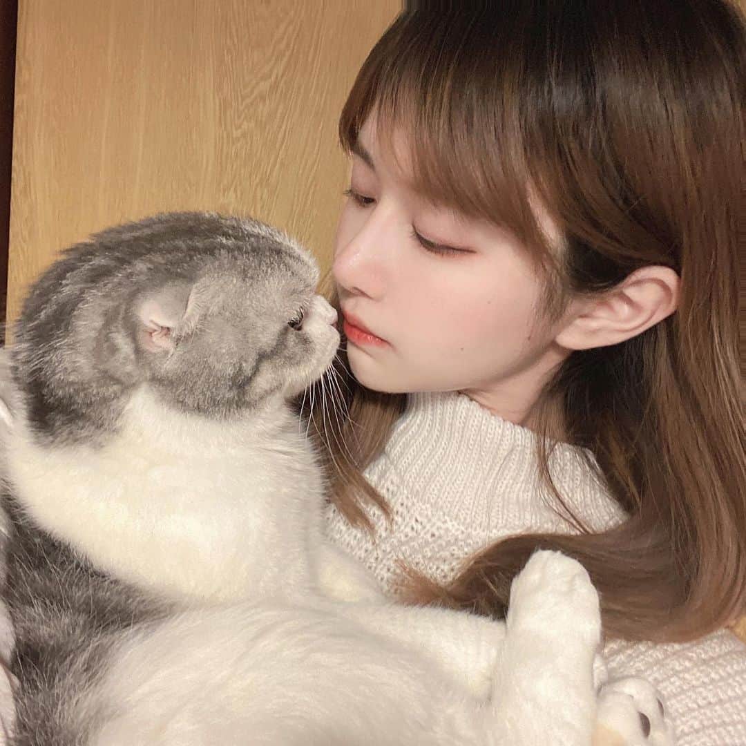 shikaのインスタグラム