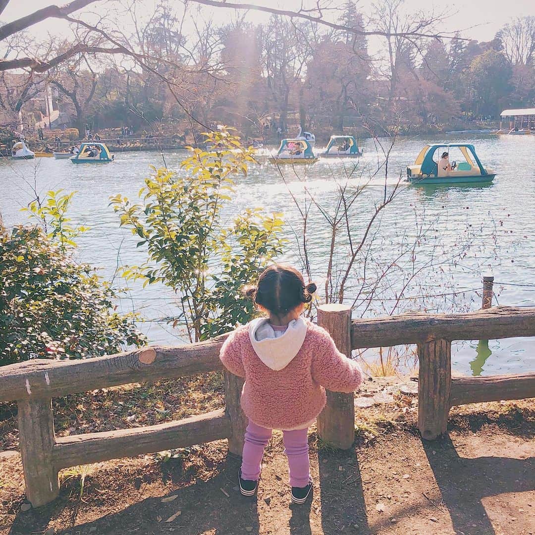 石野千尋のインスタグラム：「Morning walk with a little girl 🦢✨ . ちょっと前にお散歩した時の1枚📸 . 水面に反射するキラキラをみて星みたいだと言い、初めて乗ったスワンボートには大興奮で池に飛び込もうとしてた小さなひと🦢 ずっと走っていたのに、刺激的すぎたのかお昼寝をしなかった日。 . 毎日はじめてがいっぱいな、1歳8ヶ月！ . #shotbyiphone #inokashirapark #daughter #swanboats #park #walk #babygirl #1歳8ヶ月 #1Y8M #photographer」