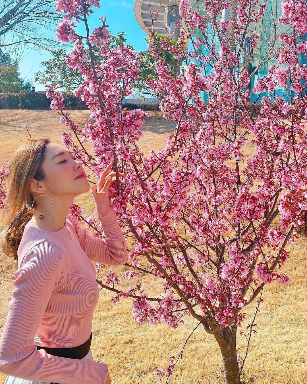 長谷川朋美さんのインスタグラム写真 - (長谷川朋美Instagram)「春はすぐそこ🌸 あたたかい1日でした☺️  待ちに待った季節の到来だ〜✨  #spring #cherryblossom #春 #桜 #sakura #pink」2月23日 22時48分 - hasegawa.elena.tomomi