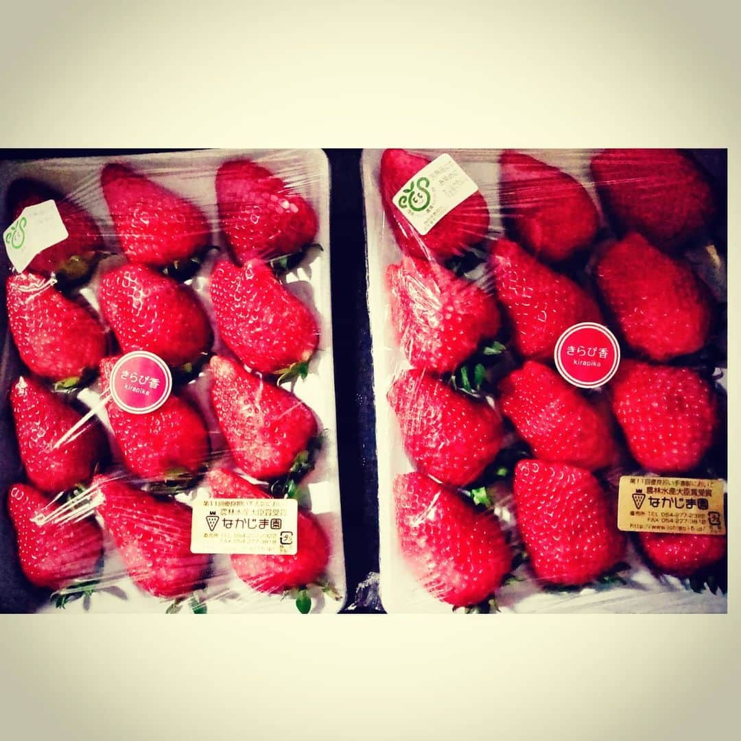 歌倉千登星のインスタグラム：「大粒のイチゴを頂きました〜🍓✩°｡⋆♡*°  #いちご #苺 #きらぴ香 #美味しいよね #やったぁ」