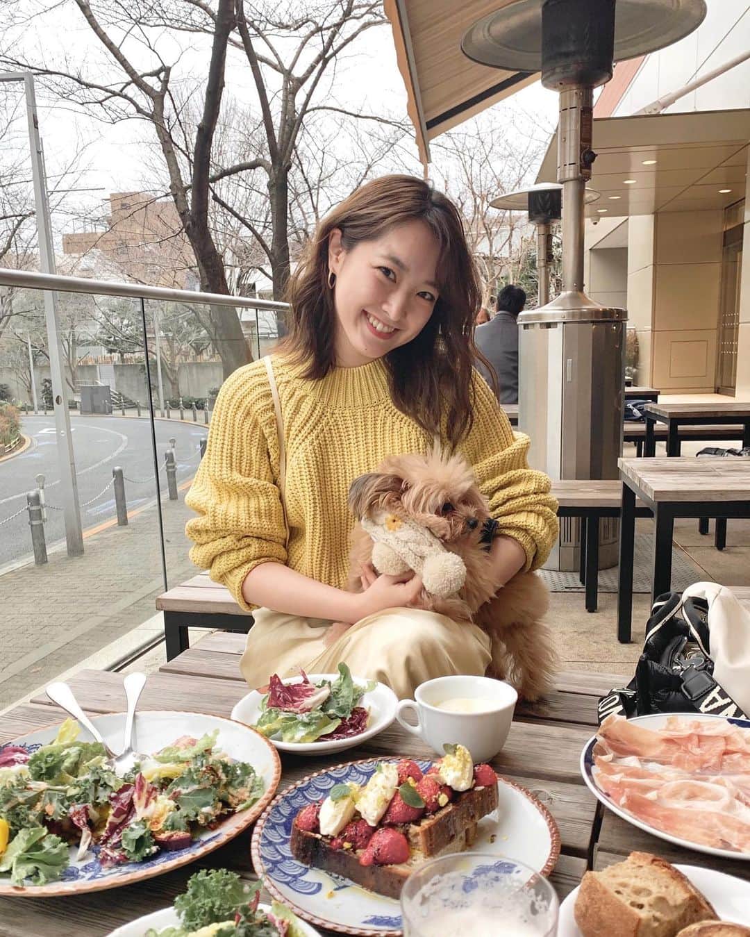大野愛友佳のインスタグラム：「うきちととらちゃんとのブランチ♡  少し前だけどテラスでご一緒。  ここのイチゴとクリームチーズのトースト、バルサミコ酢がきいてて好みのお味。🍓  この日はイエローとサテンゴールド。  最近はサテンアイテムが気分で、 この季節にぱきっとしたカラー物を取り入れるのも最近の気分♡  #春コーデ#春カラー#イエローコーデ#六本木ランチ#ブランチ#イチゴトースト#六本木カフェ#六本木ヒルズランチ#ヒルズカフェ#わんこのいる生活#犬okカフェ#ブランチタイム#黄色コーデ#サテンスカート#春服コーディネート」