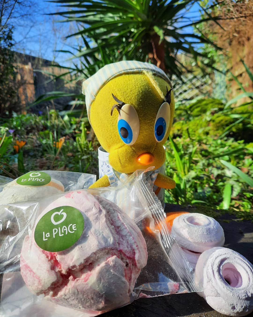 Little Yellow Birdさんのインスタグラム写真 - (Little Yellow BirdInstagram)「For this very early spring edition of #honeygroveteapartytuesday I've got a selection of meringues! Soft and fluffy but crunchy too! #littleyellowbird #tweety #tweetykweelapis #adventures #yellow #bird #tuesday #sweet #sweettreat #meringues #schuim #laplace #spring #lente #february #sun #bluesky  #stuffedanimalsofinstagram #plushiesofinstagram」2月23日 23時07分 - tweetykweelapis