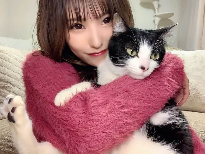 みはとさんのインスタグラム写真 - (みはとInstagram)「🐈🐾  びびさんの特技を TikTokで初披露しました😼❤️  （猫の日間に合わなかった）  私の声が気持ち悪いです ご注意ください。笑  普段は甘えん坊の わがままかまってちゃんですが 実は賢い可愛いこ🐈‍⬛❤️  プロフィールから飛べるのでTikTok見てくださいねっ！  #1日遅れの #猫の日  #tiktok  #猫トックになりそう #愛猫  #猫のいる暮らし #お手  #おかわり #ハイタッチ #全部できちゃう天才 #スター猫  #catstagram  #nyanstagram  #にゃんこ #猫と一緒」2月23日 23時12分 - m2.13.0