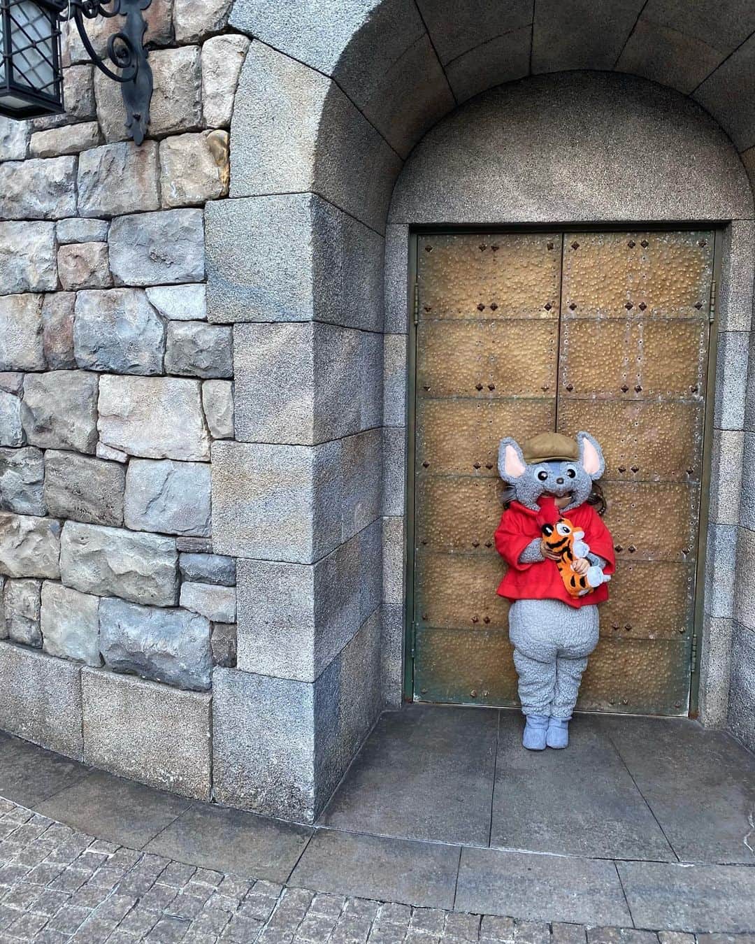 tiahy__さんのインスタグラム写真 - (tiahy__Instagram)「MAGELLAN’S  ディズニーシーの中で、マゼランズが一番大好きなレストランです.  歴史上初世界一周を成し遂げたことで有名なマゼランの名前から名付けられたこのレストラン.  ここには秘密の「隠し部屋」があることをご存知ですか？  お祝いごとや特別な日にはマゼランズを予約することが多いのですが、この隠し部屋にだけはまだ行ったことがなくて、とても気になっていました. そして、年末に訪れた際に、なんと、その「隠し部屋」に案内してもらえたのです🍷  この「隠し部屋」は探検家たちが冒険によって得た情報を報告するために使われており、 盗み聴きされないように、扉を本棚に見せかけてカモフラージュしています. . お部屋の中はワインセラーになっており、テーブル席がとても少ないので、異空間を感じることができ、とても貴重な時間を過ごすことができました🍾. . . ディズニーシーを訪れた際は、ぜひマゼランズへ🍽.  #magellans#bernard_taia#taiacostume」2月23日 23時12分 - tiahy__disney