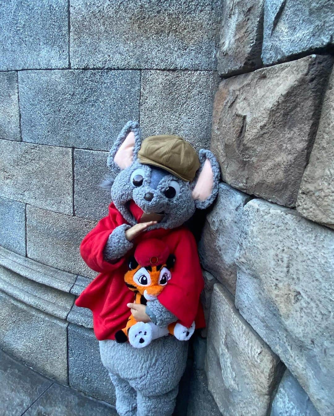 tiahy__さんのインスタグラム写真 - (tiahy__Instagram)「MAGELLAN’S  ディズニーシーの中で、マゼランズが一番大好きなレストランです.  歴史上初世界一周を成し遂げたことで有名なマゼランの名前から名付けられたこのレストラン.  ここには秘密の「隠し部屋」があることをご存知ですか？  お祝いごとや特別な日にはマゼランズを予約することが多いのですが、この隠し部屋にだけはまだ行ったことがなくて、とても気になっていました. そして、年末に訪れた際に、なんと、その「隠し部屋」に案内してもらえたのです🍷  この「隠し部屋」は探検家たちが冒険によって得た情報を報告するために使われており、 盗み聴きされないように、扉を本棚に見せかけてカモフラージュしています. . お部屋の中はワインセラーになっており、テーブル席がとても少ないので、異空間を感じることができ、とても貴重な時間を過ごすことができました🍾. . . ディズニーシーを訪れた際は、ぜひマゼランズへ🍽.  #magellans#bernard_taia#taiacostume」2月23日 23時12分 - tiahy__disney