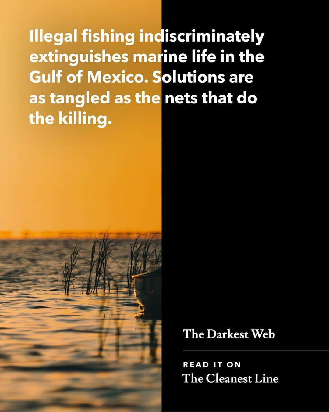 patagoniaさんのインスタグラム写真 - (patagoniaInstagram)「Illegal fishing indiscriminately extinguishes marine life in the Gulf of Mexico. Foreign vessels set miles of illegal gill nets and longlines with baited hooks that capture and kill so many beautiful creatures. Biologists estimate that the number of fish taken is up to three times what the state deems sustainable for the marine ecosystem.⁠⁠ ⁠⁠ Read “The Darkest Web” on The Cleanest Line through the link in bio.⁠⁠ Photo: Tony Czech」2月24日 8時50分 - patagonia