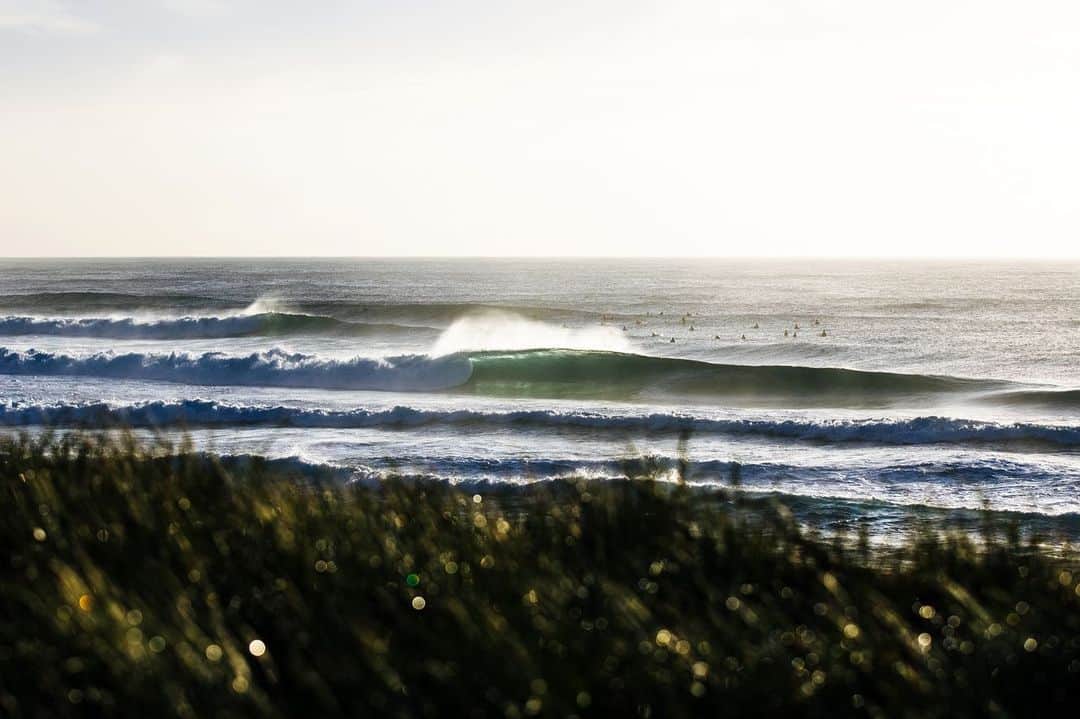 surflineさんのインスタグラム写真 - (surflineInstagram)「There’s a dream day out there somewhere. A day when all of Australia’s surfable coastline cranks as one. Imagine how fried everyone would be! Imagine how many barrels would be ridden, how many broken boards would be sworn at, how many dings would have to be fixed. Imagine the half-empty classrooms and the hit to national Gross Domestic Product. Imagine the overall stoke. This past weekend wasn’t quite the dream. But wow, she came pretty close. While a big slab of south-west groundswell poured on to WA’s reefs. a less sizey yet profoundly welcome series of long and short range east swells ranged up and down the Queensland and NSW coasts, softly machine-gunning everywhere from Noosa to Bermagui. Hit the link in bio for the full #SwellStory.」2月24日 9時14分 - surfline