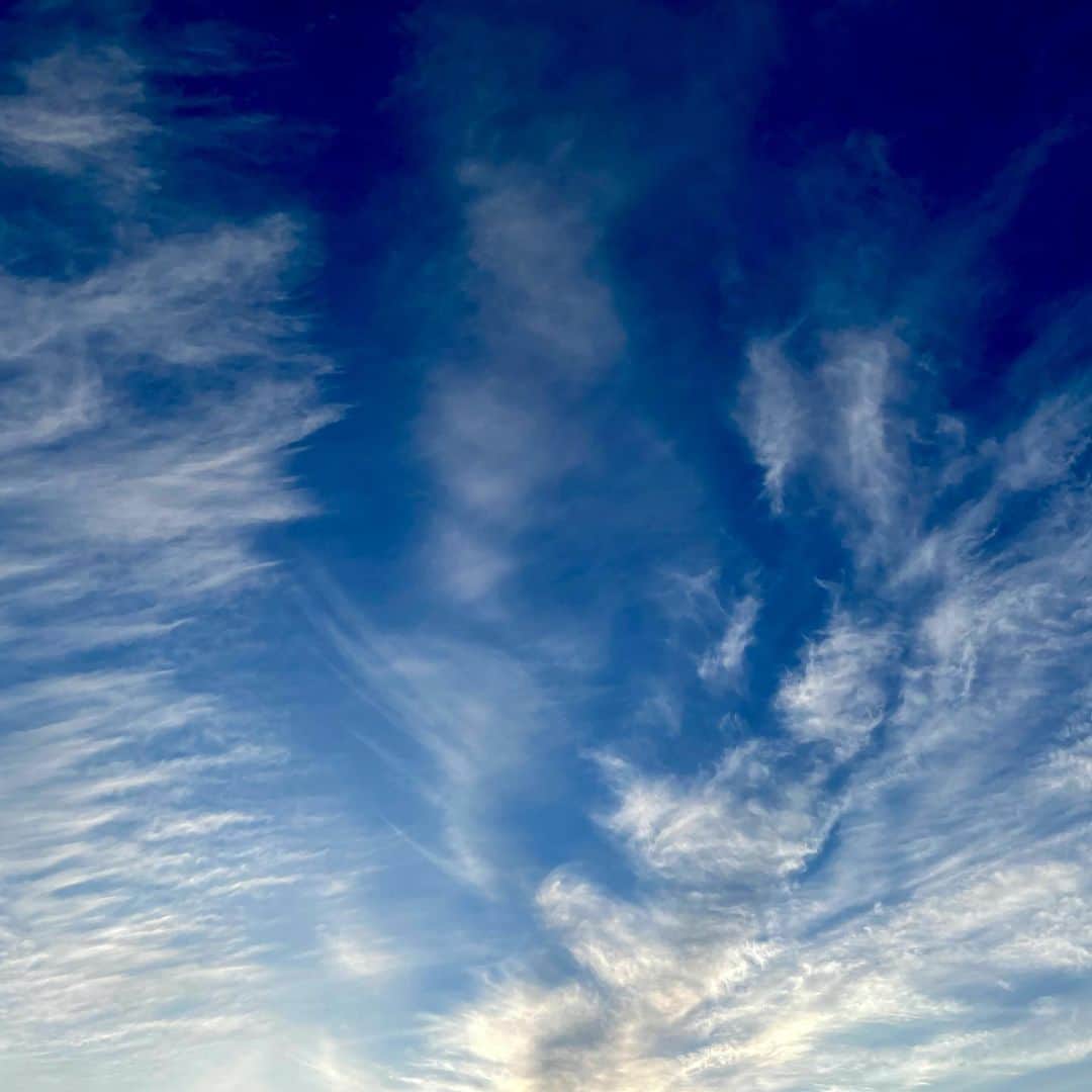 吉井明子さんのインスタグラム写真 - (吉井明子Instagram)「おはようございます☺︎  きょうは冬の寒さのところが多くなりますので 寒さ対策をしっかりなさってくださいね⛄️🍃  写真は… きのうの東京の空。  青空に、白い羽根がたくさん舞っているようで綺麗✨  と、思う一方で…  かなり上層雲出ているな。巻雲から、空の反対側は巻積雲の広がっているところもある。下層だけじゃなく、上層の風もかなり強そうだから、ジェット気流かな。あとで高層天気図で確認しよう。  などと思う気象予報士脳でした🙄  きょうからまた NHK BS4K・BS1 「BSニュース4K」 12:45〜17:45〜 でお会いしましょうね☺️  🌷きのうは「食いしん坊日記」にお付き合い頂き、ありがとうございました〜🤗皆さんのコメントがまたすっごく楽しくて、めちゃ嬉しかったです😆✨ 伝わってよかった〜😂突然だったのに、ありがとうございます✨これからも食欲極まったときに時々、小説モードが発動するかもです😌よろしくお願いします😂  #東京の空 #巻雲  #nhk #bsニュース4k #気象予報士 #吉井明子」2月24日 9時29分 - akiko_yoshii_sunny_rain