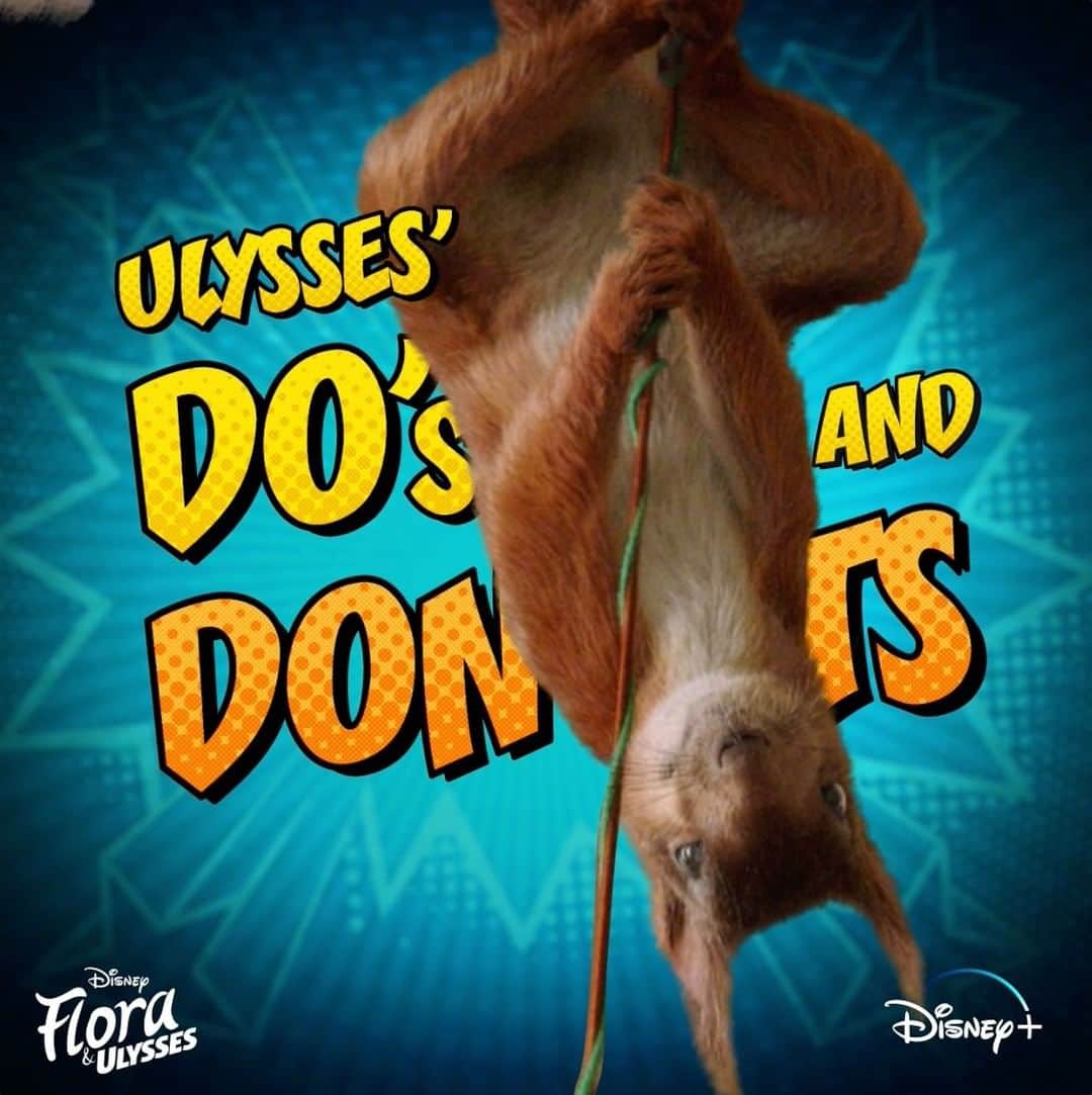 Walt Disney Studiosのインスタグラム：「Lessons from Ulysses #1: do n🍩t break stuff even if you’re very very hungry. Watch #FloraAndUlysses, now streaming on #DisneyPlus」