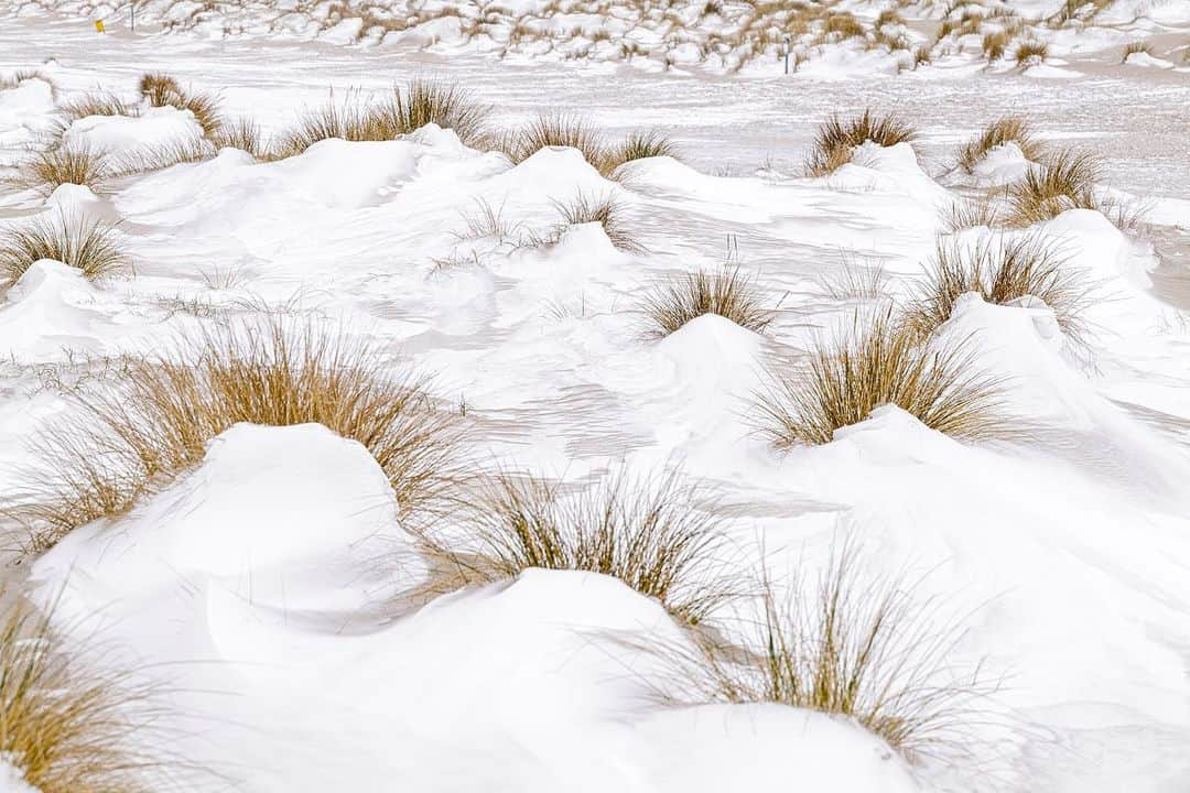 ナショナルジオグラフィックさんのインスタグラム写真 - (ナショナルジオグラフィックInstagram)「Photos by @jasperdoest / For a little over a week, winter had taken ahold of The Netherlands–turning its coasts into an arctic landscape. A sudden increase of air temperature in the stratosphere in mid-January disrupted the polar vortex,  resulting in extremely low temperatures in mid-February on both sides of the Atlantic Ocean. While the U.S. is still under winter's spell, the cold quickly lost its grip in the Netherlands: only a week later temperatures are rising as high as 62°F (16°C). Follow @jasperdoest for more images of the natural world.. #winter #Netherlands #snow」2月24日 1時01分 - natgeo