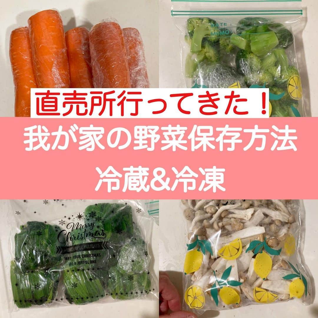 はるにゃんのインスタグラム