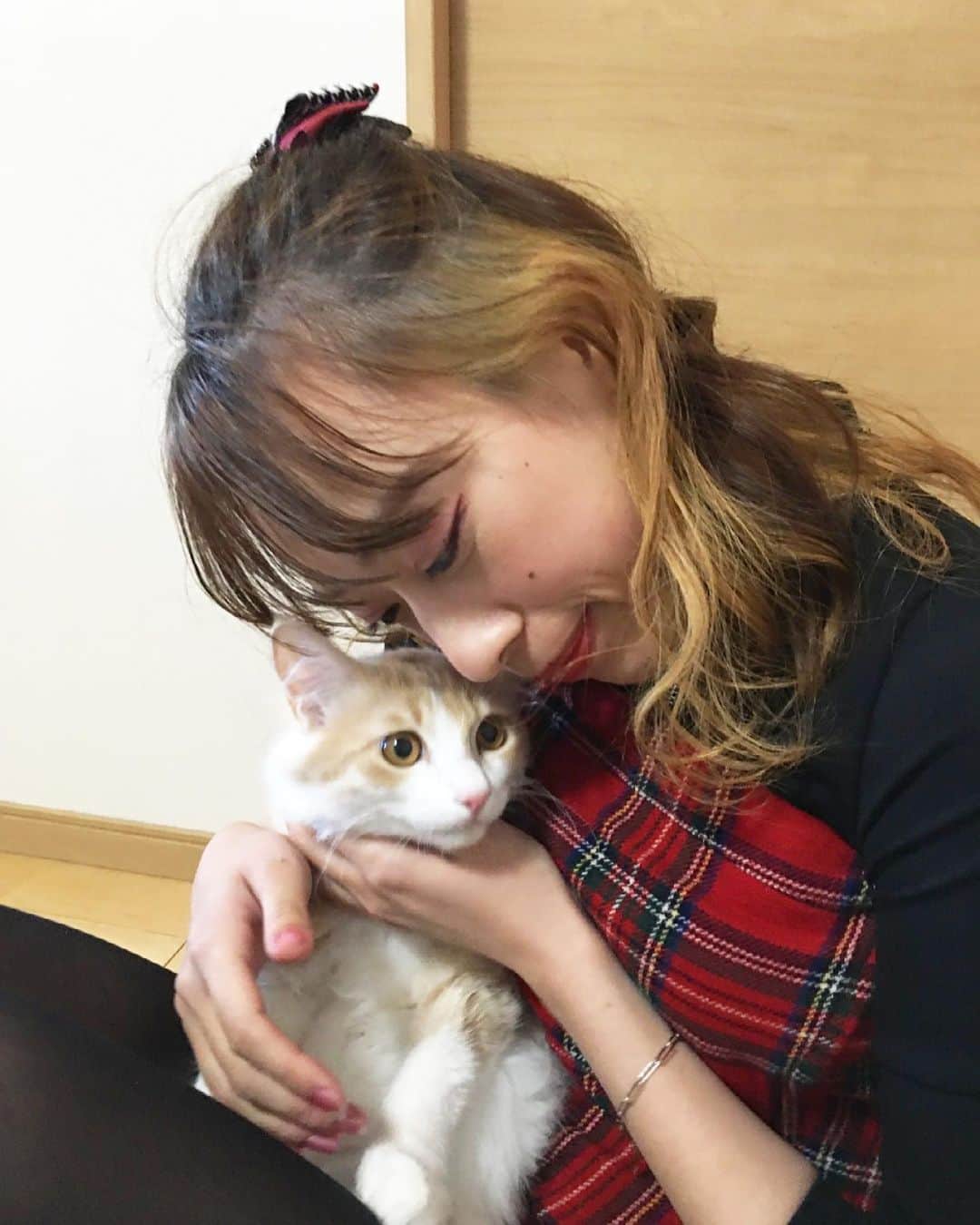 宮島小百合のインスタグラム：「つむぎ(つむつむ でかくなったわぁ〜❣️  #猫#ねこすたぐらむ #ねこ #ねこのいる生活 #ふわもこ部  #ねこ好き #cat#instacat  #catstagram #pet」