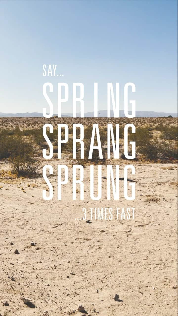 American Eagleのインスタグラム：「Your turn – spring, sprang, sprung. 3x fast. Go.」
