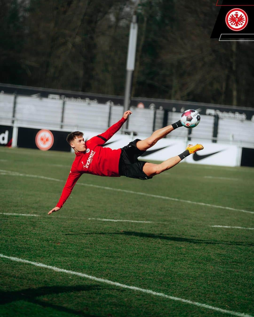 アイントラハト・フランクフルトさんのインスタグラム写真 - (アイントラハト・フランクフルトInstagram)「☄️📸  • • #sge #eintracht #frankfurt #eintrachtfrankfurt」2月24日 2時11分 - eintrachtfrankfurt