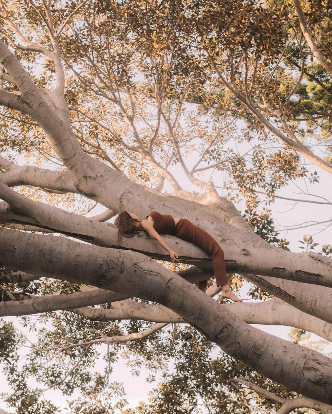 Sarahさんのインスタグラム写真 - (SarahInstagram)「Trees, trees, trees. Give me trees」2月24日 3時32分 - krotchy