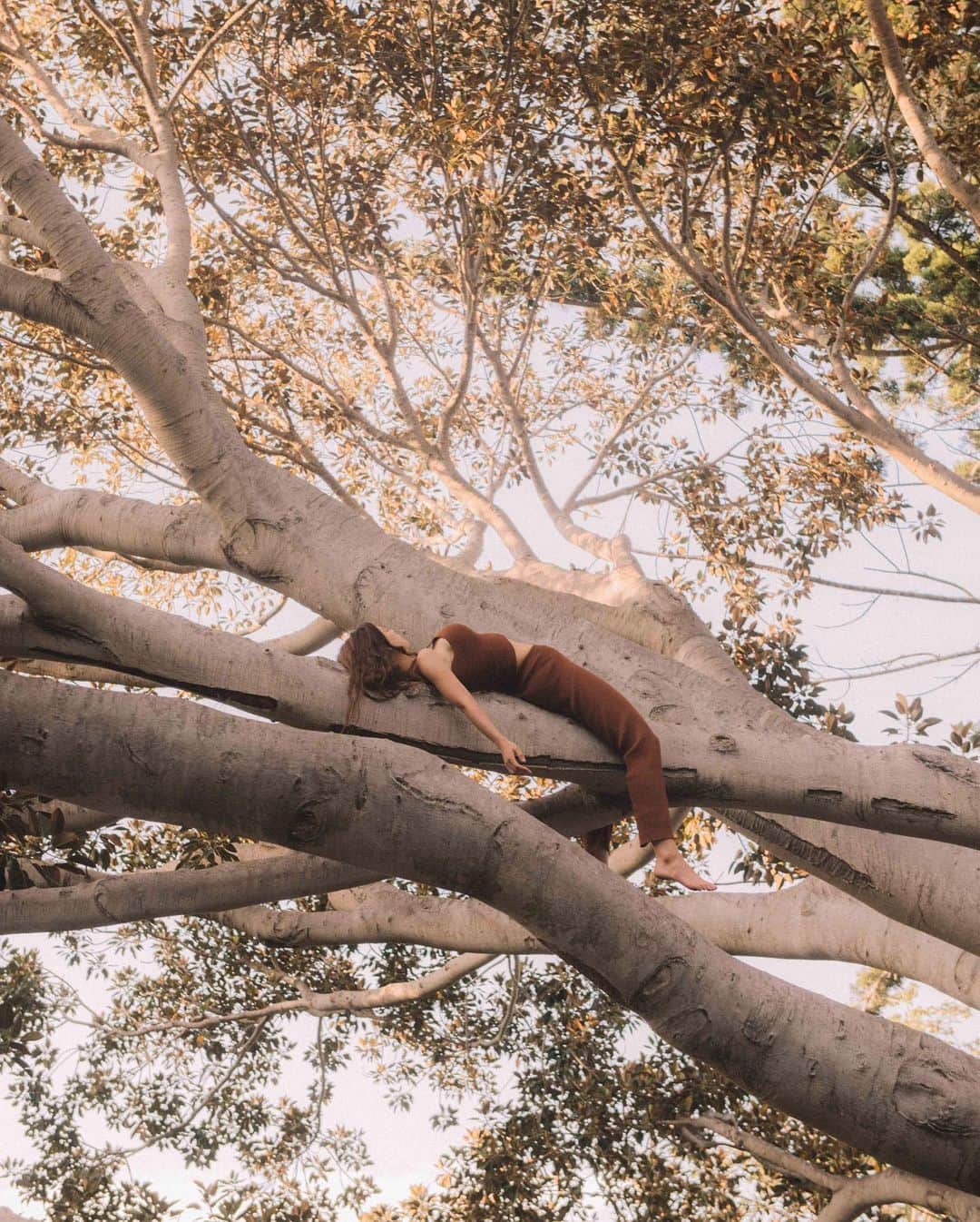 Sarahのインスタグラム：「Trees, trees, trees. Give me trees」
