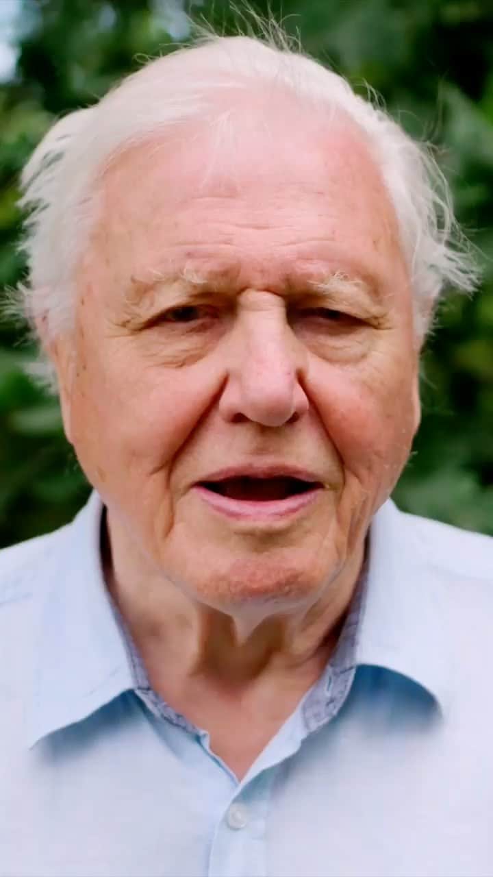 ショーン・マグワイアのインスタグラム：「Sir David Attenborough」