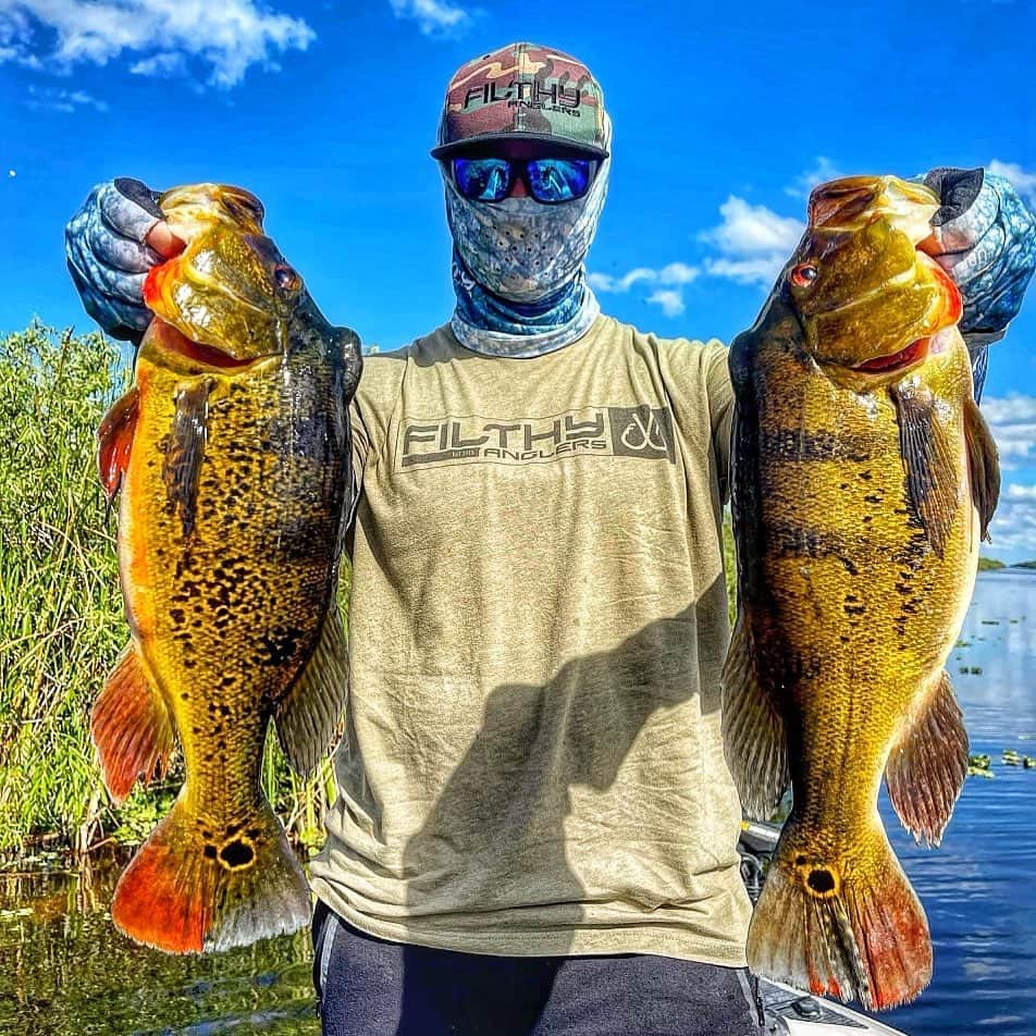 Filthy Anglers™のインスタグラム：「Yup, officially jealous! This is Filthys own Jason Green @jasngreenfishing escaping the reality of an Oklahoma snow storm and doing it right in Florida. So these are just the southern perch on steroids, right? Haha, I’m kidding.... peacock bass are on my bucket list. Congrats buddy you are once again certified Filthy - www.Filthyanglers.com #fishing #bassfishing #angler #outdoors #peacockbass #bassfishing #bigbass #filthyanglers #florida #jealous」