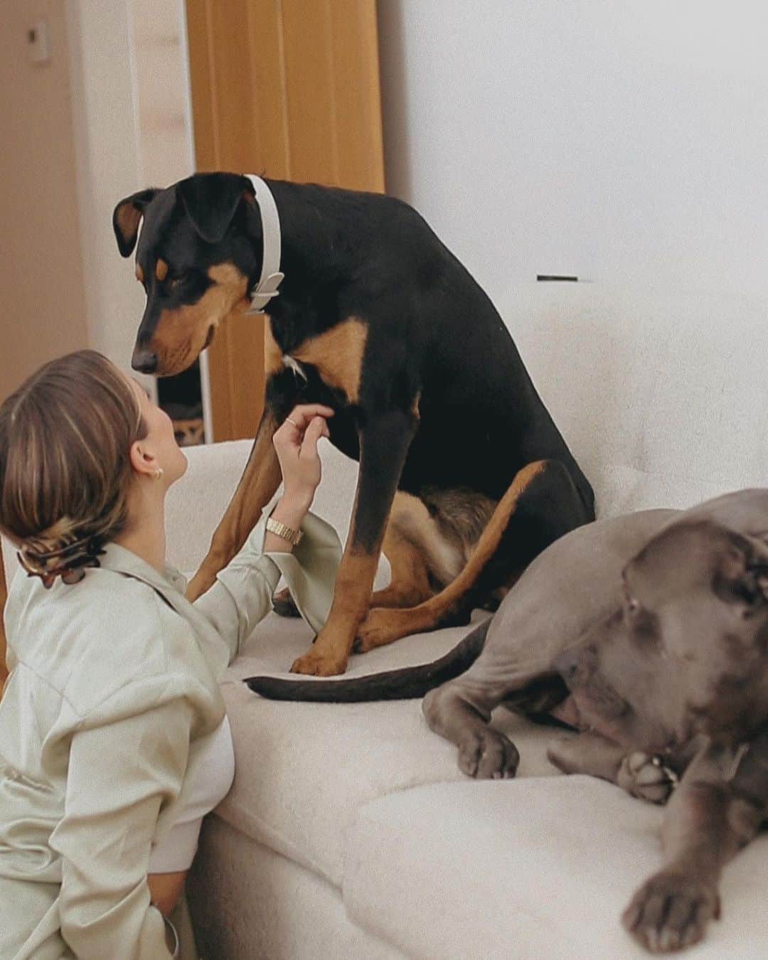 Camden Scottさんのインスタグラム写真 - (Camden ScottInstagram)「These dogs 🥺🥲」2月24日 10時16分 - cammiescott