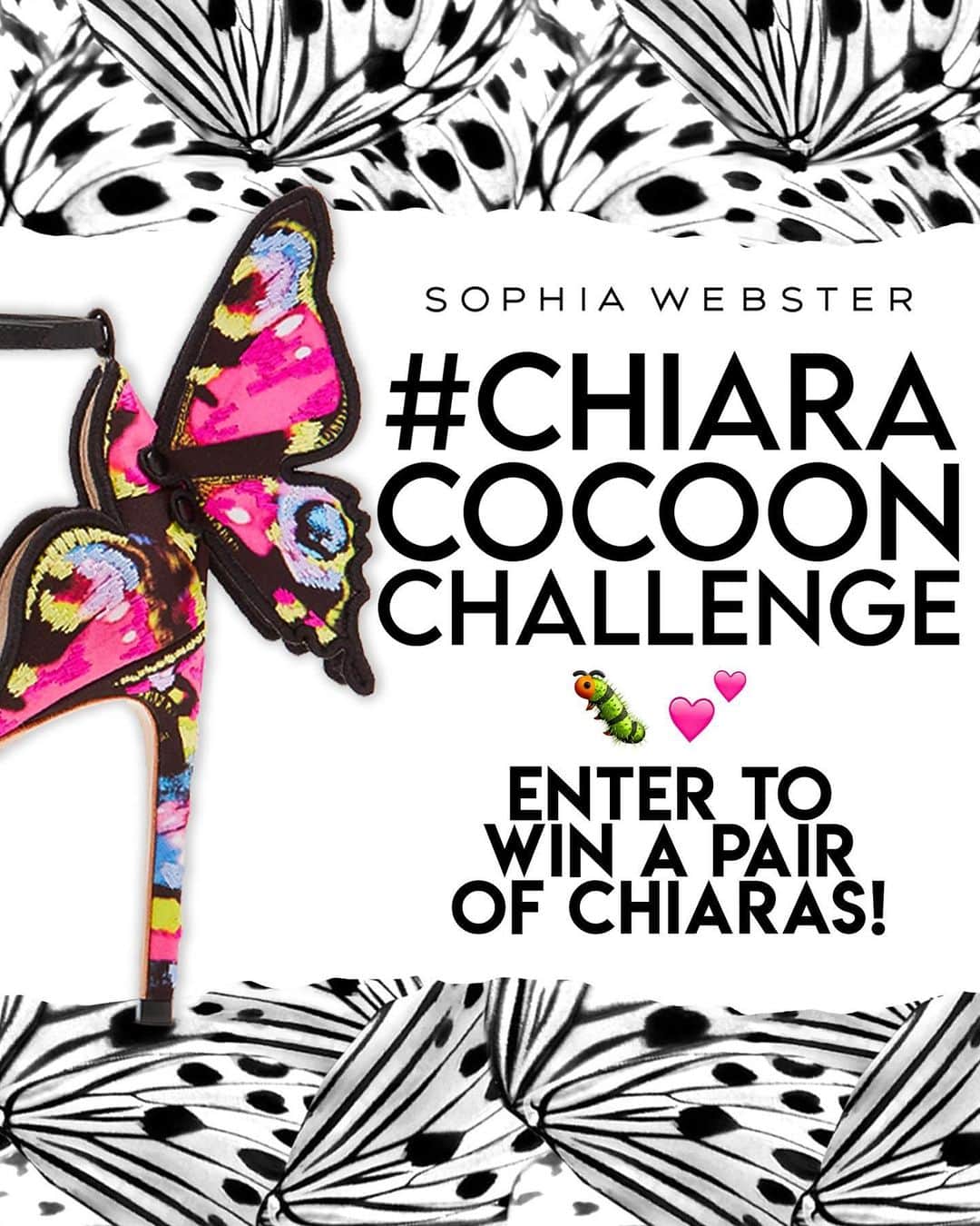 SOPHIA WEBSTERさんのインスタグラム写真 - (SOPHIA WEBSTERInstagram)「Calling all caterpillars... time to spread your wings and be in with a chance of winning a pair of my 'Chiara' heels.🐛💜🦋⁣⁣⁣⁣ ⁣⁣⁣⁣ How to enter:⁣⁣⁣⁣ ⁣⁣⁣⁣ - Use my new filter 🦋 (find it on my page📱)⁣⁣⁣⁣ - Show off your best transformation from cocooned caterpillar to a beautiful butterfly⁣ ⁣⁣⁣ - Post your video to your Instagram profile (*not stories)  - Tag @SophiaWebster and #ChiaraCocoonChallenge⁣⁣⁣⁣ - Like and save this post⁣⁣⁣⁣ ⁣⁣⁣⁣ All entries must follow @sophiawebster. ⁣⁣⁣⁣ ⁣⁣⁣⁣ Winners will be selected by you and announced by @sophiawebster!⁣⁣⁣ 💞⁣ ⁣⁣⁣⁣ Good luck! S x ⁣⁣⁣⁣ ⁣⁣⁣⁣ #SWStoryofThe🦋 #SophiaWebster #SophiaWebsterWings #StoryofTheButterfly⁣⁣⁣⁣ ⁣⁣⁣⁣ ⁣⁣⁣⁣ 🐛🦋 Created in partnership with @iren.kolovska 🦋🐛⁣⁣⁣」2月24日 6時05分 - sophiawebster