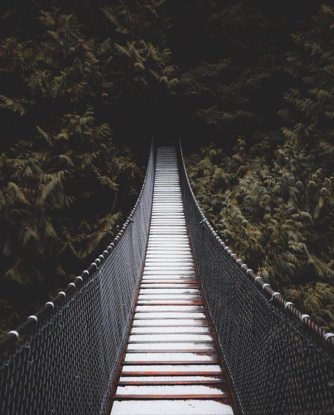 FOLKのインスタグラム：「How it’s going. Today’s favorites are: 1.) @zackkcore 2.) @jkwinders 3.) @audacityofamber 4.) @armandanorthwest 5.) @maryleeburman 6.) @pete_ell」