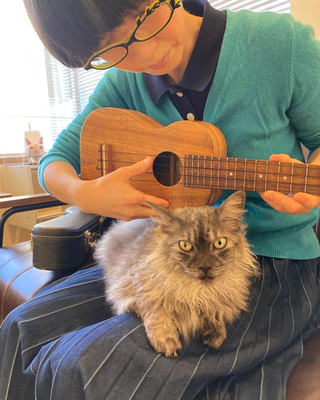 つじあやのさんのインスタグラム写真 - (つじあやのInstagram)「おはようございます。はあ〜猫と過ごしたひととき・・癒されたなあ。今日は歌入れです。ぼちぼち行ってきます。  Good morning. Hmm ... the time I spent with the pretty cats ... healed. Today is a recording of a song！  #猫の日 #猫#ねこすたぐらむ #猫のいる暮らし #ねこ  #ukulelelove#ukulelelife#ukulelecover#ukulele#ukulelelife#ukuleleplayer #cat #catlife #catstagram #catsofinstagram #ウクレレ#ネコ#にゃんすたぐらむ#にゃんにゃんにゃんの日#スピッツ#spitz#猫になりたい #222」2月24日 7時03分 - tsujiayano.ukulele
